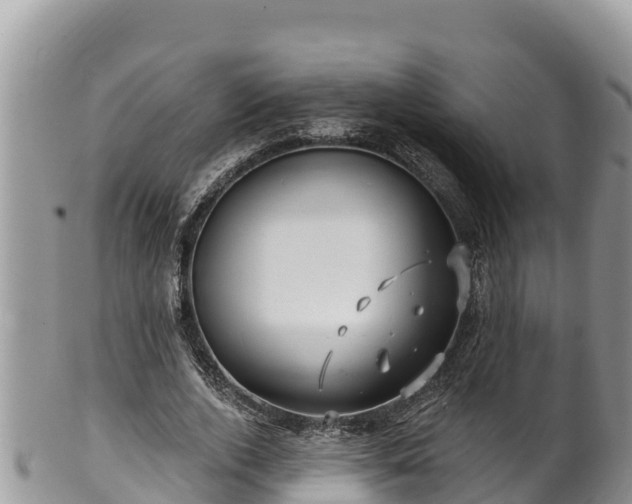 X0000102310728200808011602