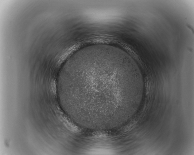 X0000102310729200808011602