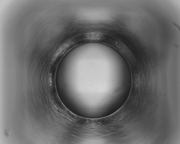 X0000102310731200808011602