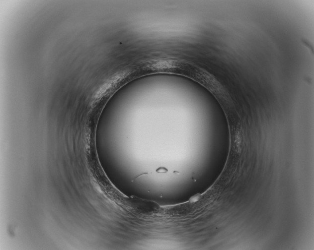 X0000102310732200808011602