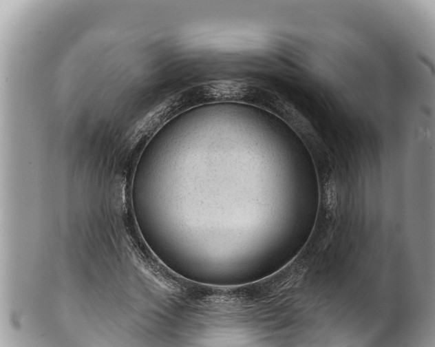 X0000102310733200808011602