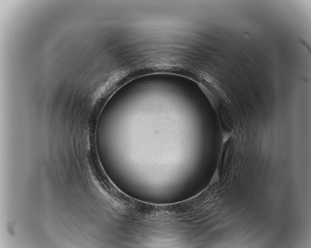 X0000102310734200808011602