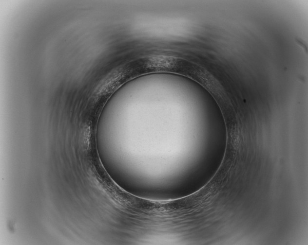 X0000102310735200808011602