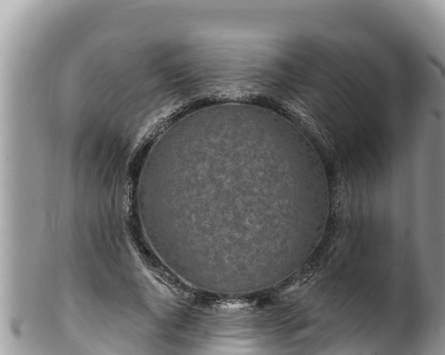 X0000102310736200808011602