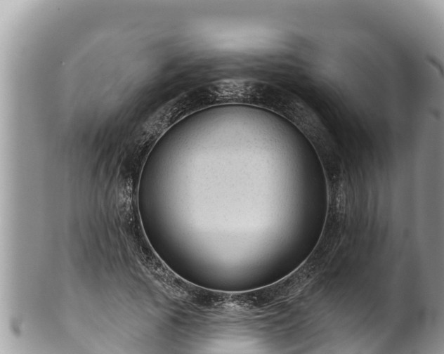 X0000102310737200808011602