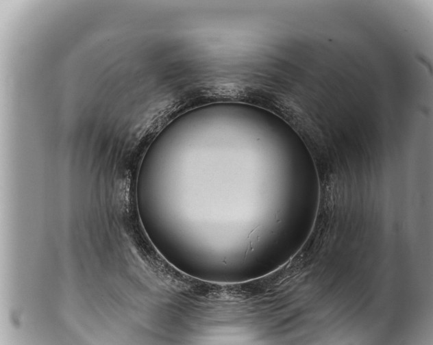 X0000102310739200808011602