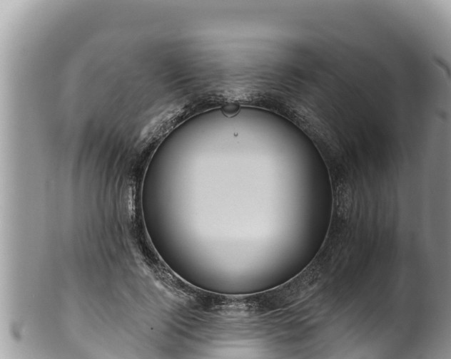 X0000102310740200808011602