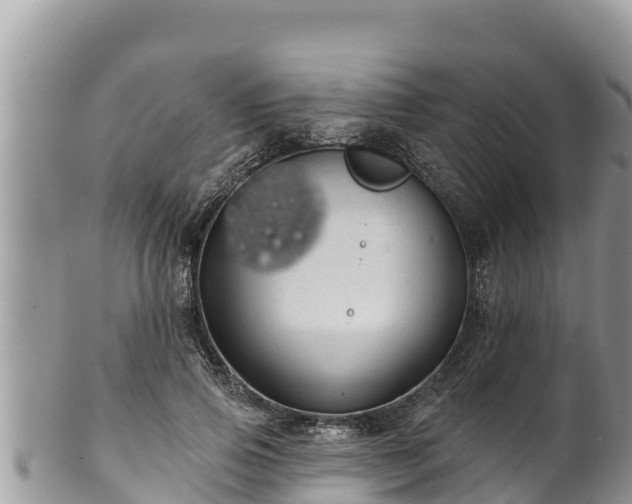 X0000102310741200808011602