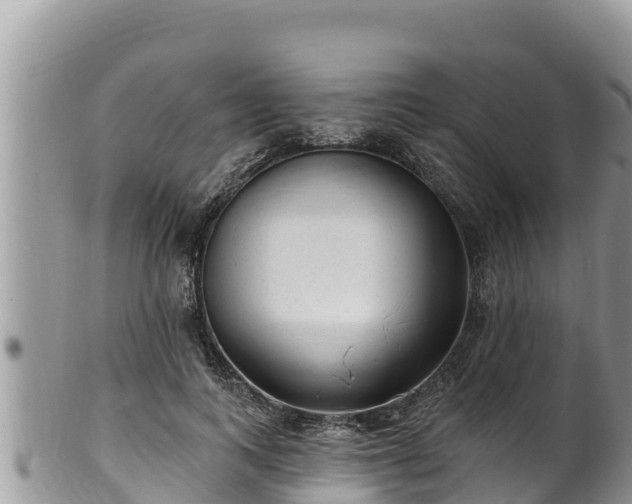 X0000102310743200808011602