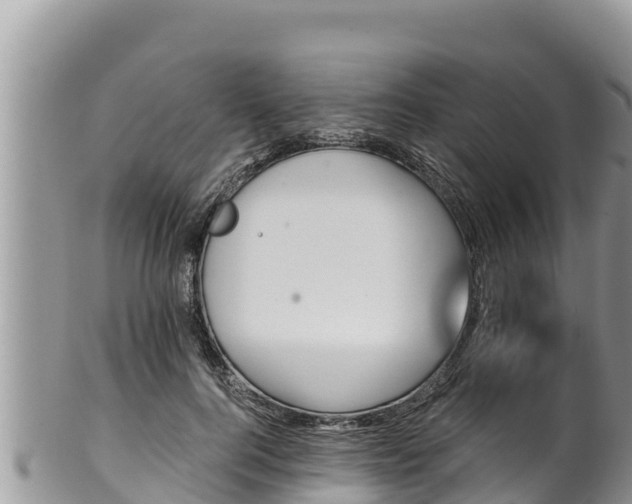 X0000102310744200808011602