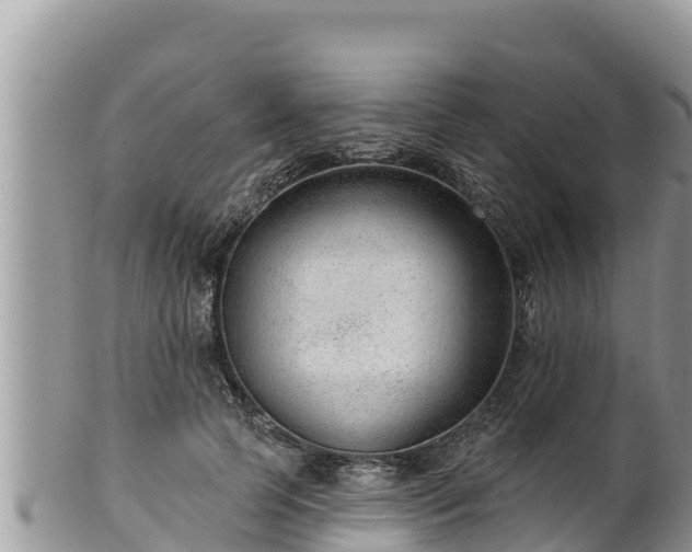 X0000102310745200808011602