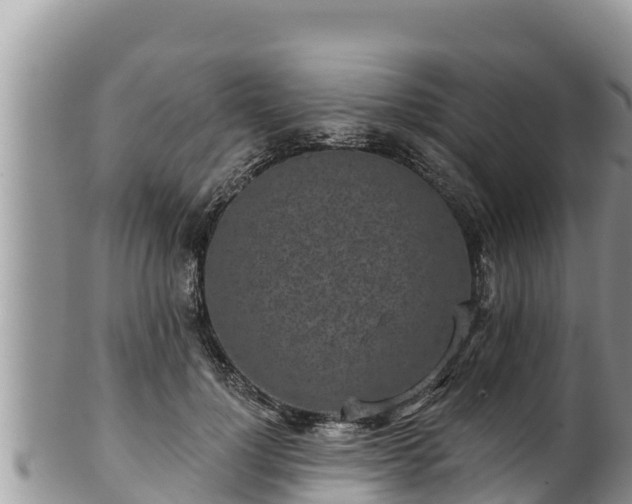 X0000102310748200808011602