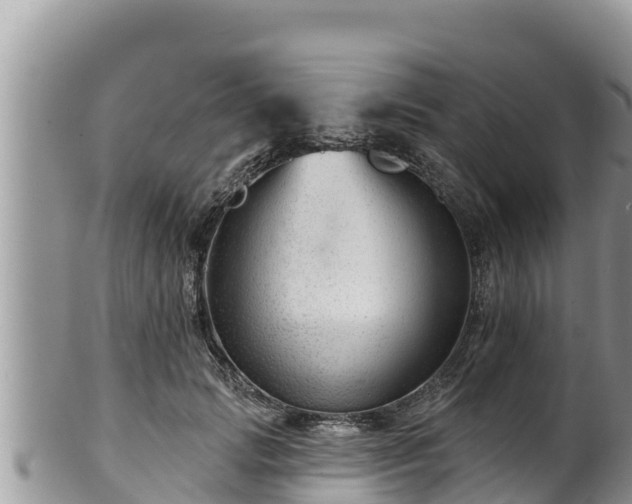 X0000102310749200808011602