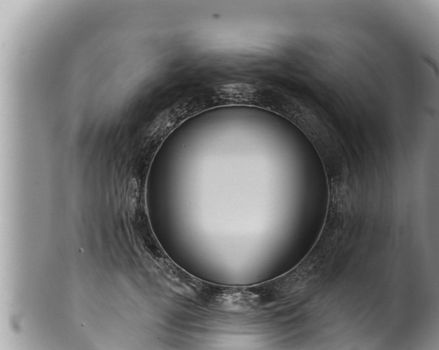 X0000102310752200808011602