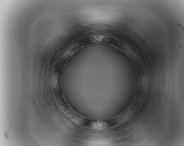 X0000102310754200808011602