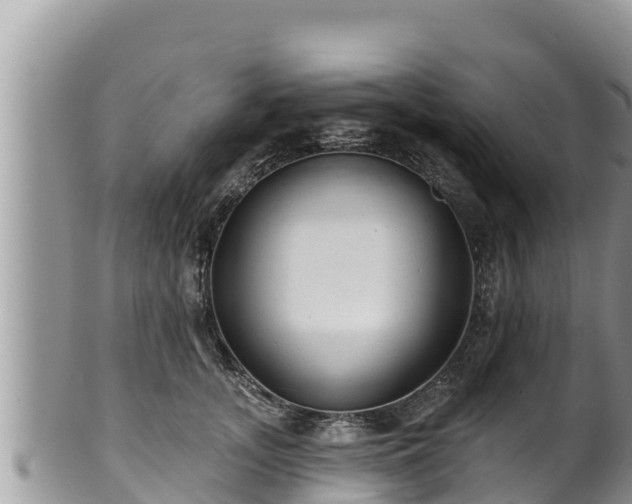 X0000102310755200808011602