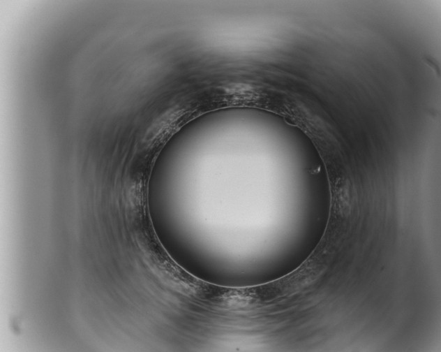 X0000102310756200808011602