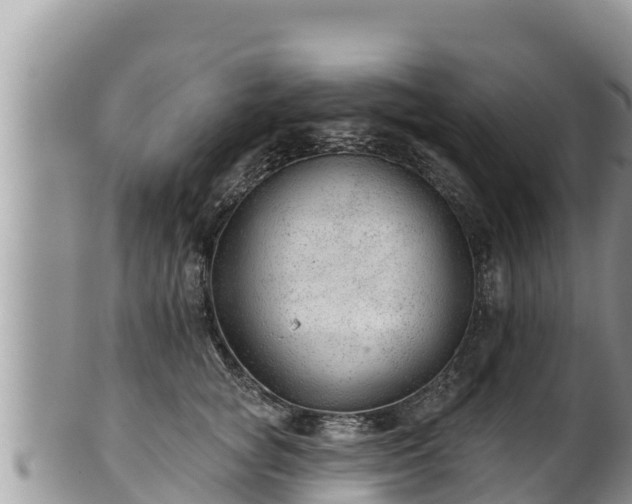 X0000102310757200808011602