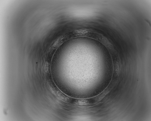 X0000102310758200808011602