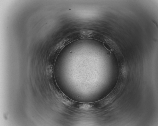 X0000102310759200808011602