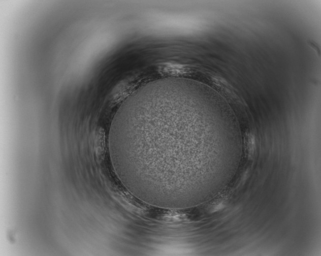 X0000102310760200808011602