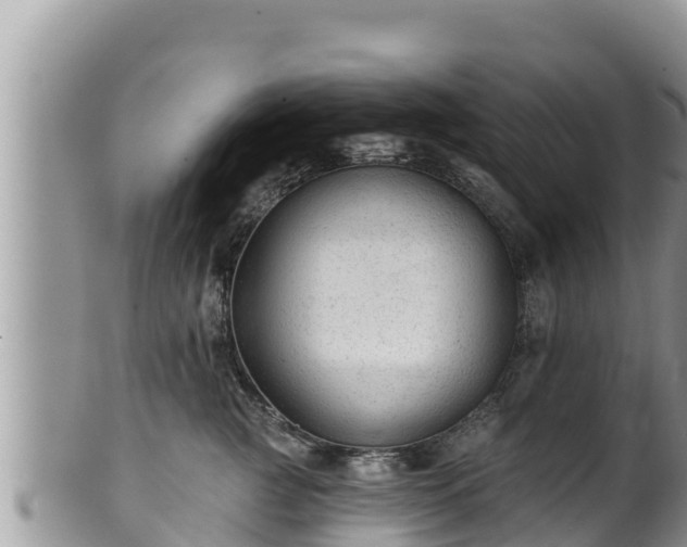 X0000102310761200808011602