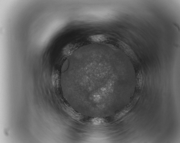 X0000102310762200808011602