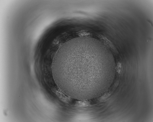 X0000102310763200808011602