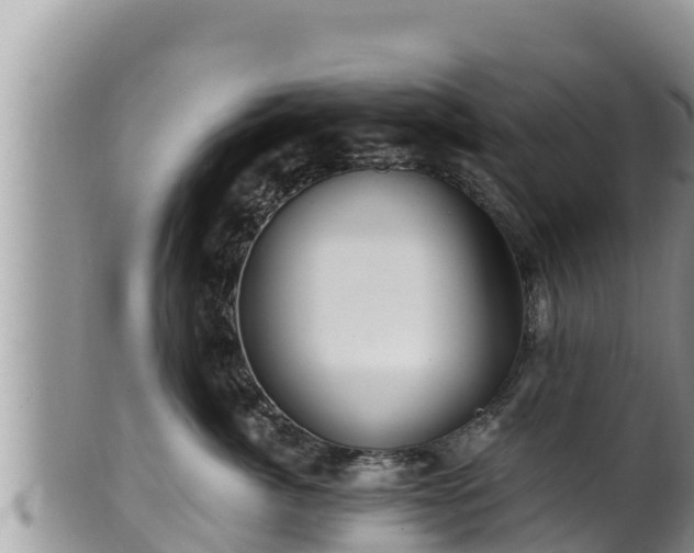 X0000102310764200808011602