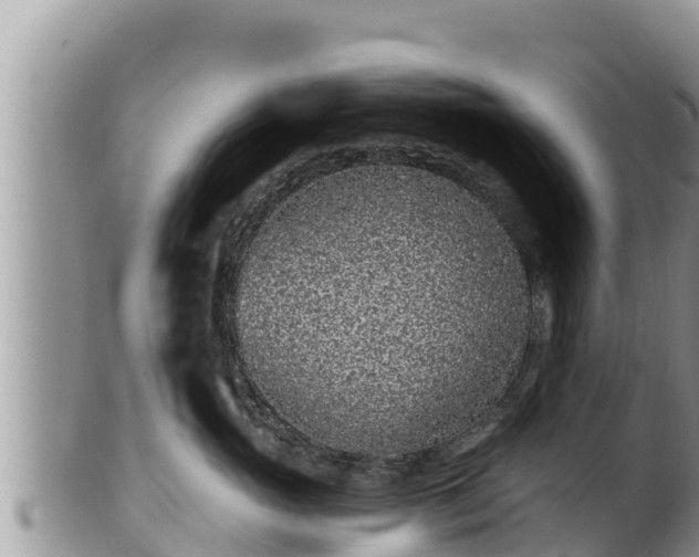 X0000102310765200808011602