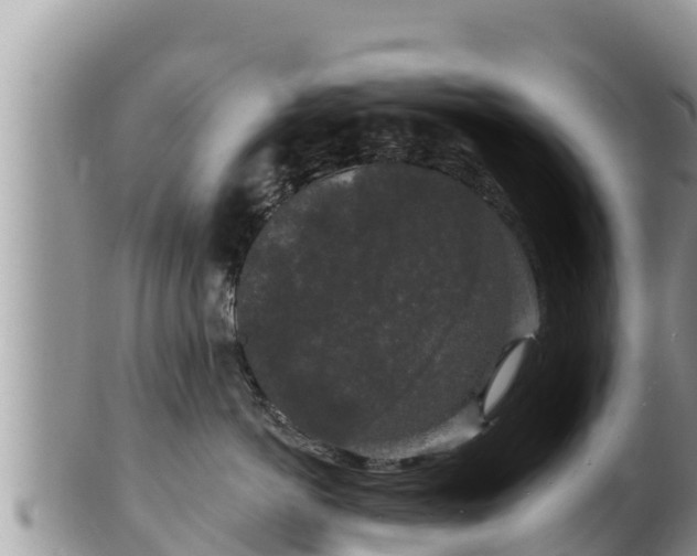 X0000102310766200808011602