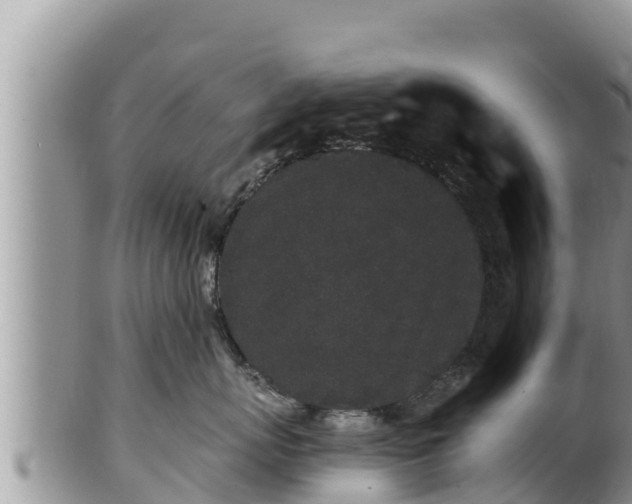 X0000102310767200808011602