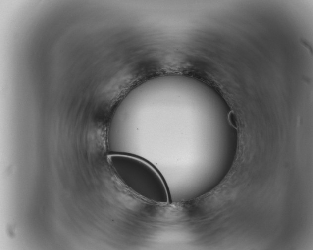 X0000102310768200808011602