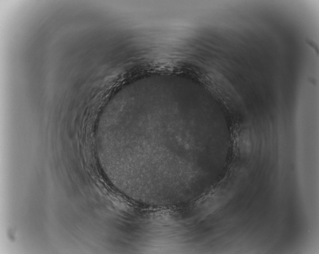 X0000102310769200808011602