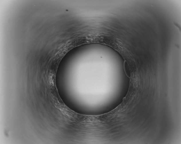 X0000102310770200808011602