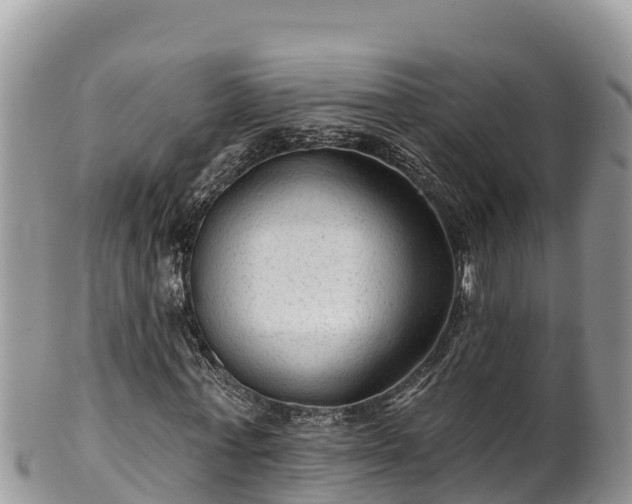 X0000102310771200808011602