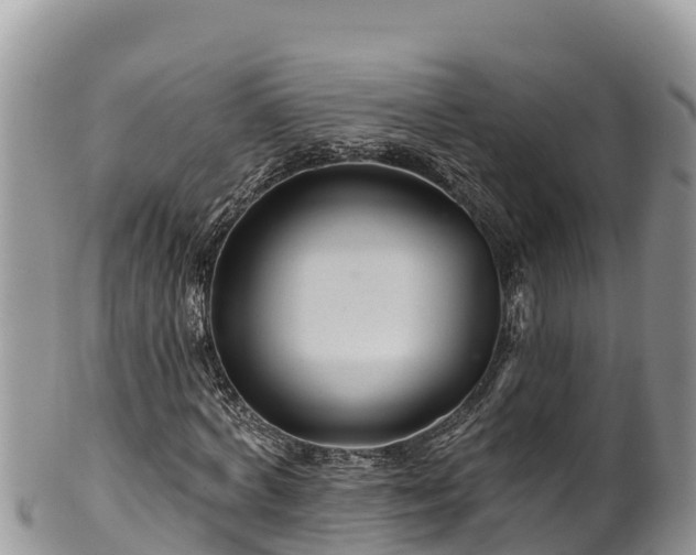 X0000102310772200808011602