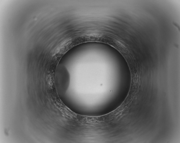 X0000102310774200808011602