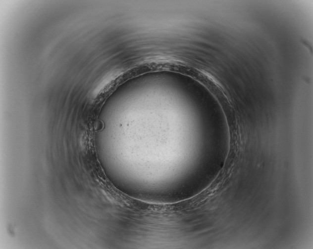 X0000102310775200808011602