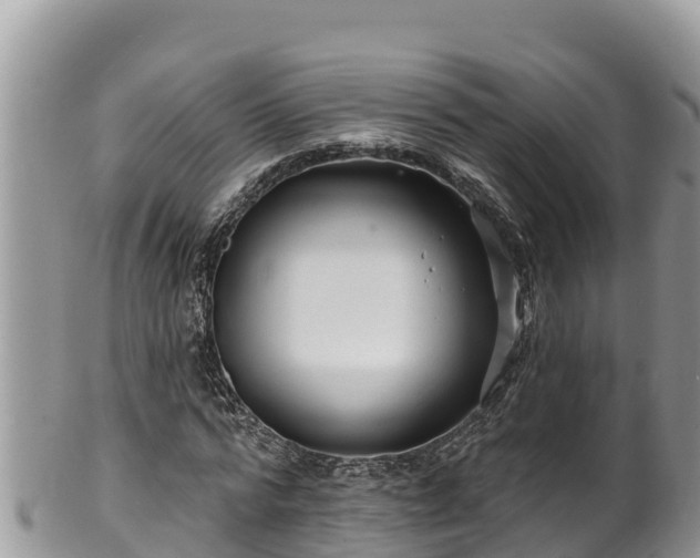 X0000102310776200808011602