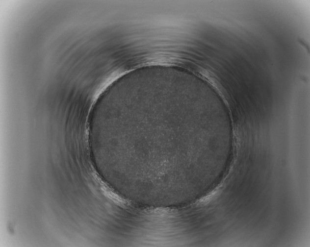 X0000102310779200808011602