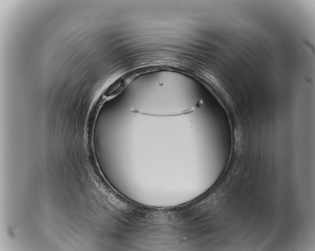 X0000102310780200808011602