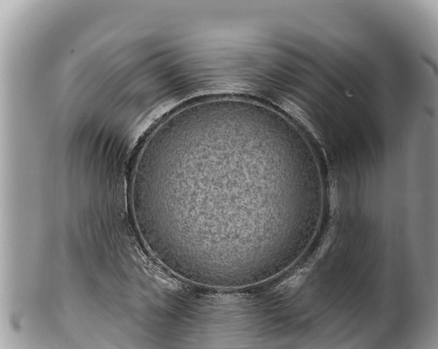 X0000102310781200808011602