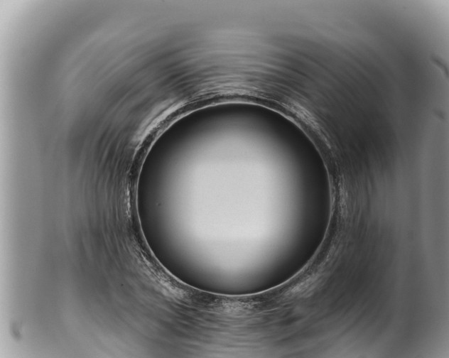 X0000102310782200808011601