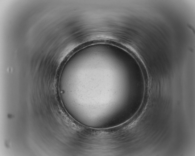 X0000102310783200808011601