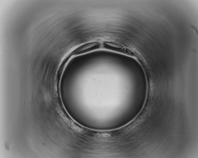 X0000102310784200808011601