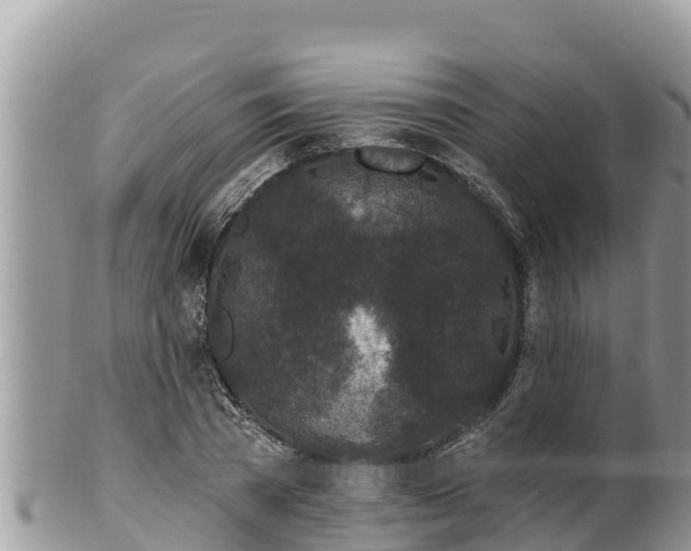 X0000102310785200808011601