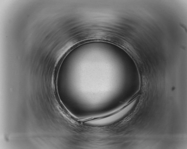 X0000102310788200808011601