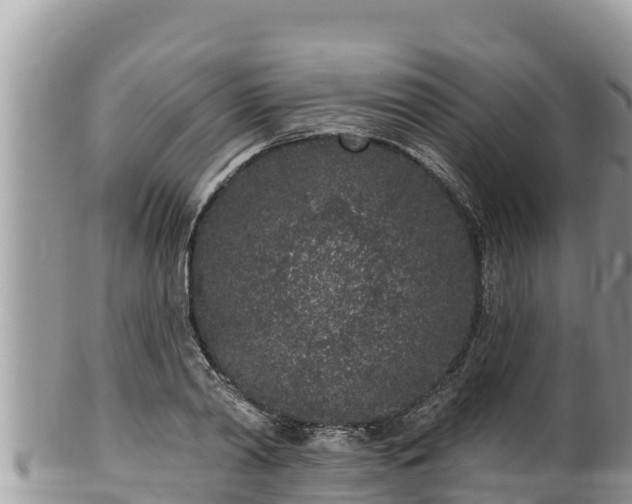 X0000102310790200808011601