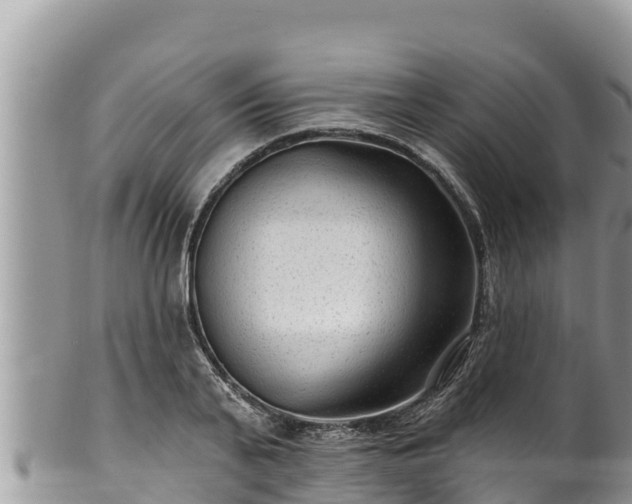 X0000102310791200808011601